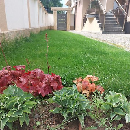 Stella Guesthouse Sapareva Banya Exterior photo